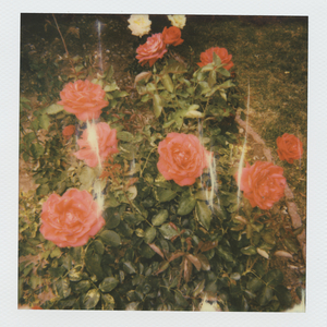 唐山精油厂家用小狐营销导航
